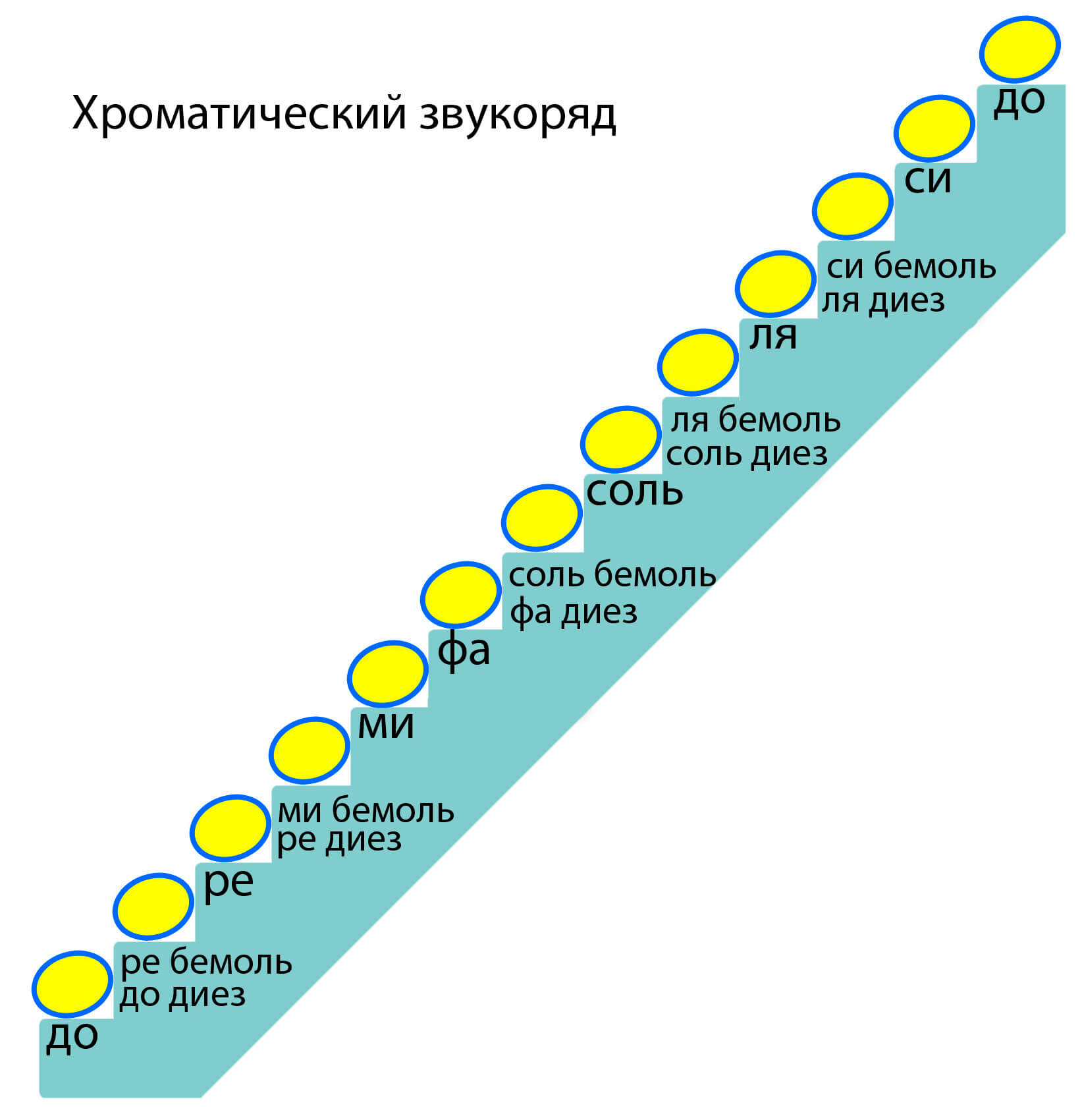 Звукоряд. Диатонический и хроматический звукоряд. Диатоническая гамма. Диатонический звукоряд. Хроматический звукоряд в Музыке.