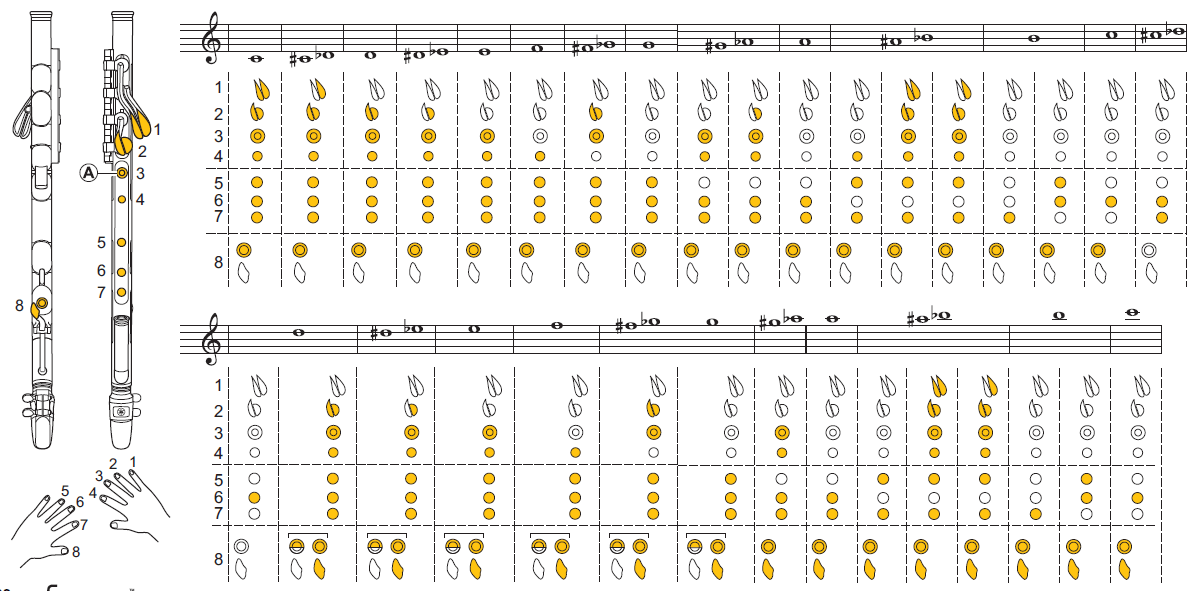Играть на флейте с нуля. Аппликатура поперечной флейты немецкой системы. Аппликатура флейты поперечной французской системы. Аппликатура блок флейты Ямаха. Аппликатура флейты поперечной.